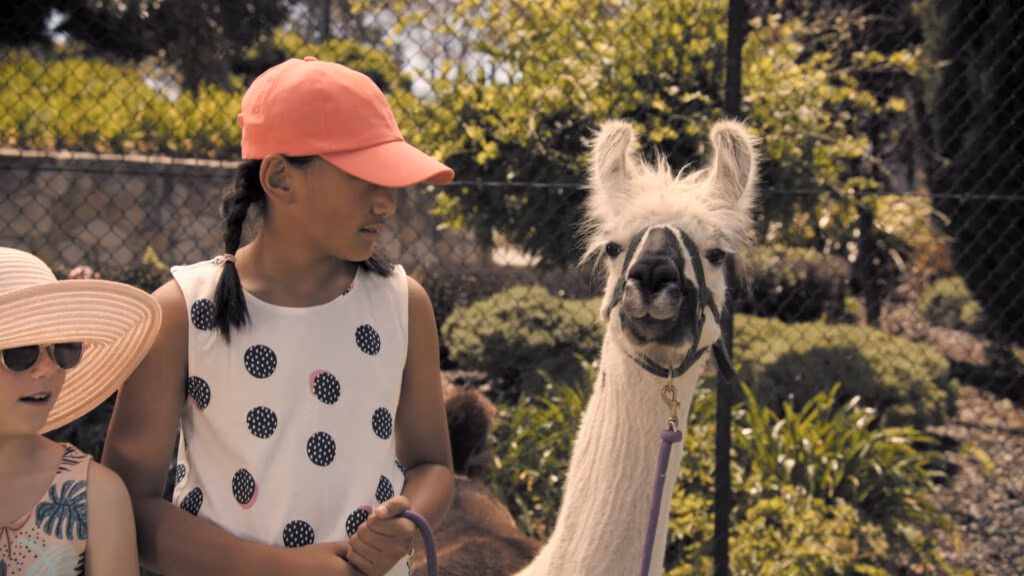Two children stand outdoors beside a white llama on a lead. One child wears a pink cap and white dress with black spots; the other wears sunglasses and a hat. Green bushes and a chain-link fence are in the background. The scene is brightly lit.