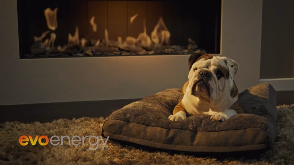 A bulldog lies on a plush dog bed in front of a lit modern fireplace, looking up calmly. The setting is cosy with a fluffy rug. The words evo energy appear in the lower left corner in orange and grey text.